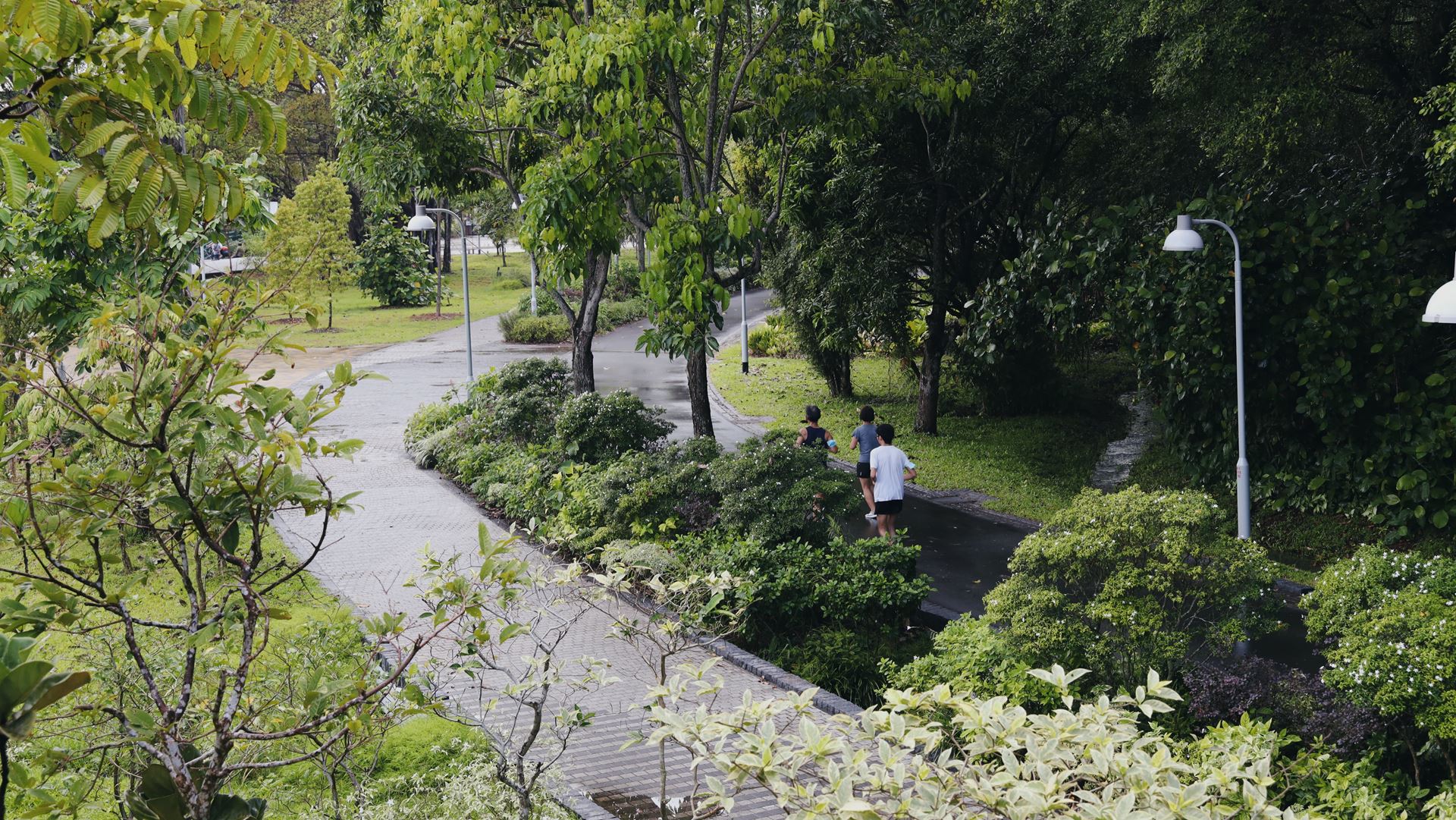 Park Run